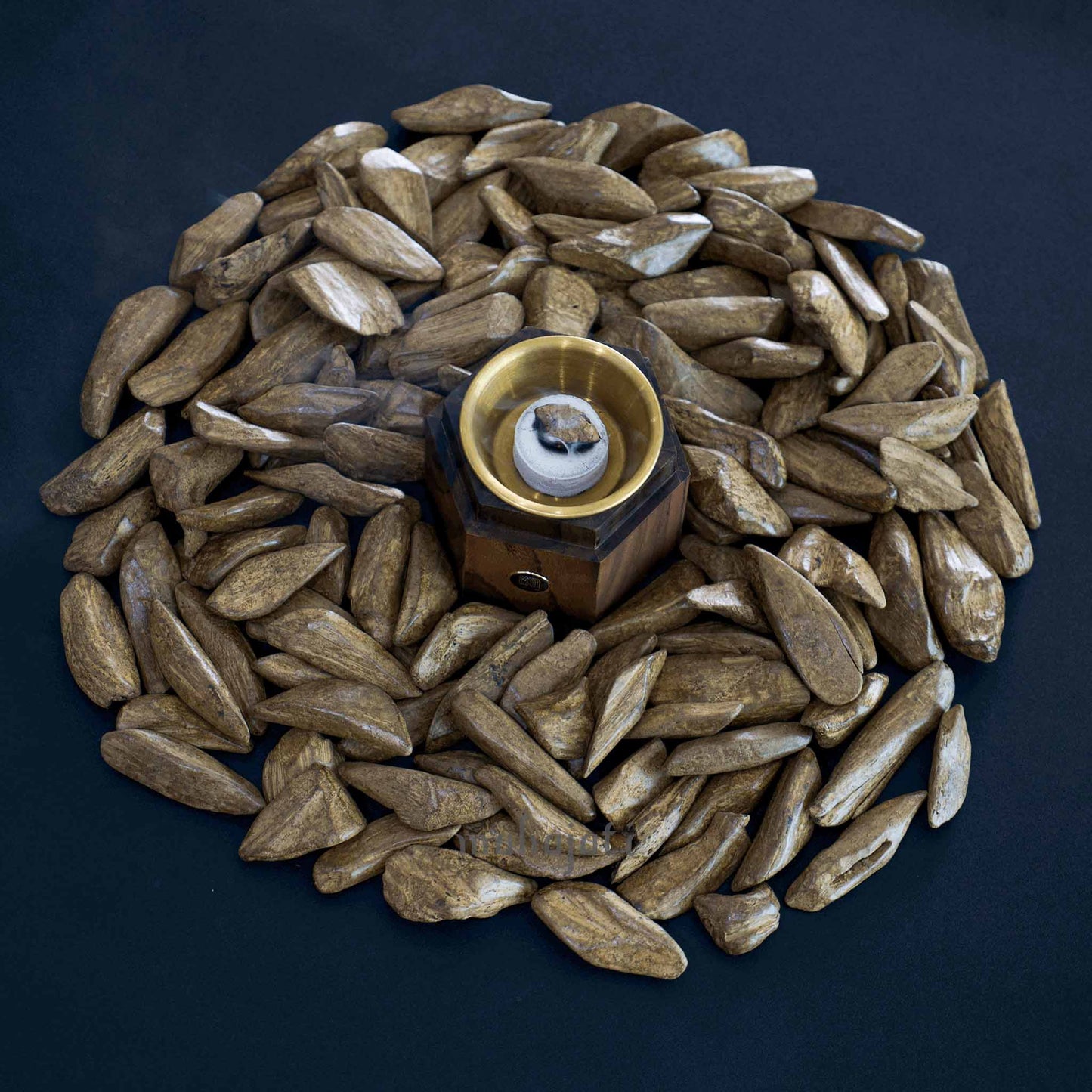 Jawhar Agarwood - Merauke, Indonesia