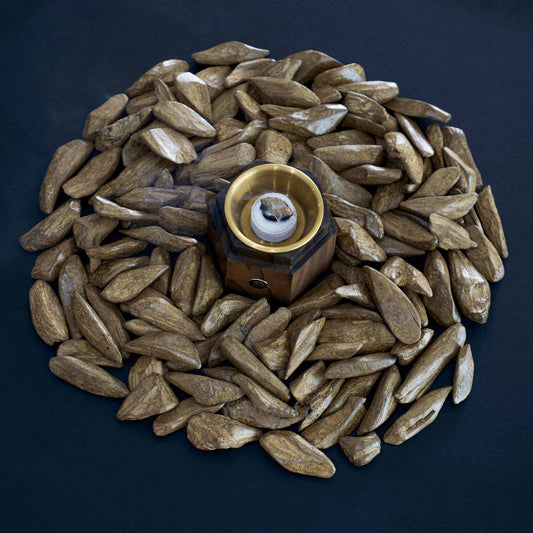 Jawhar Agarwood - Merauke, Indonesia